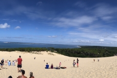 2018-08-31 125100 - IMG_5818