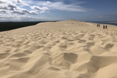 2018-08-31 130939 - IMG_5827