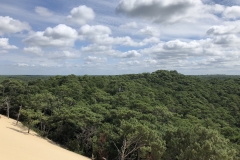 2018-08-31 131654 - IMG_5834