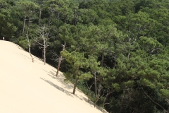 2018-08-31 131753 - IMG_9112