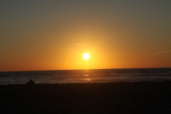 2018-08-31 203107 - IMG_9156