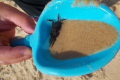 2018-08-30 170718 - DSCN2881